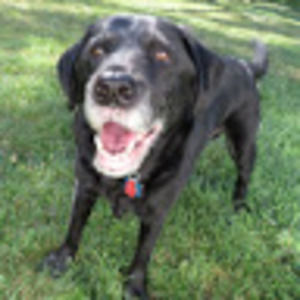 Meet your Posher, Rachel lee